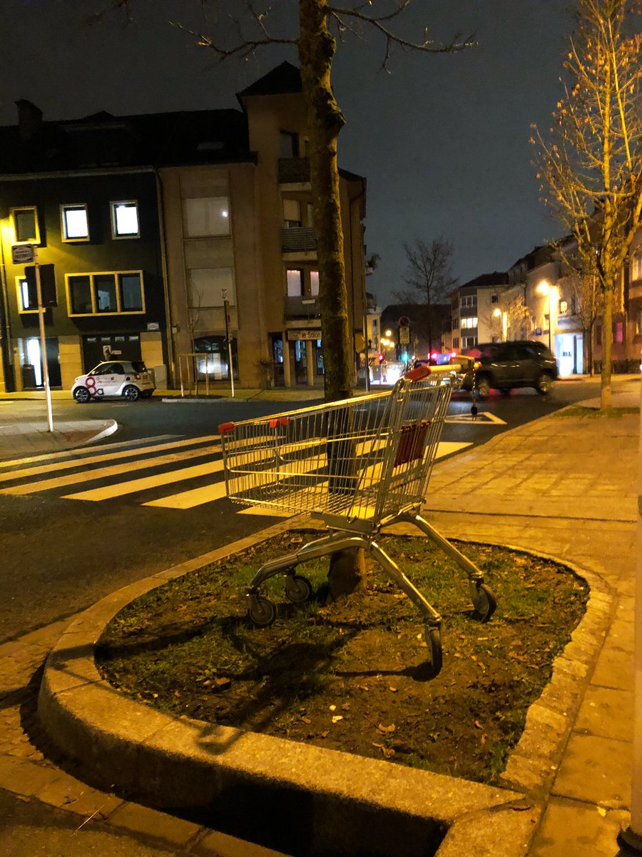 Un caddie au bord d’un trottoir, à côté d’un arbre, en direction du croisement de la rue